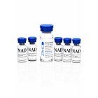 NAD+ NAD+